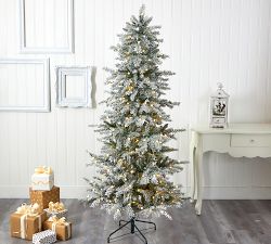 Lit Slim Flocked Nova Scotia Spruce Faux Christmas Tree
