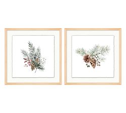Pinecone Sprig Framed Print