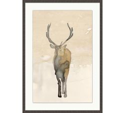Tonal Elk Framed Print