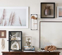 Glass Curio Display Box