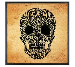 Skull Art Canvas Framed Print