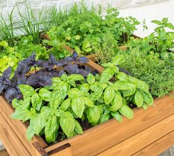 Wooden Garden Bed