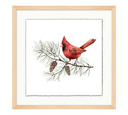 Cardinal With Pine Branch Light Oak Frame 19"x19"