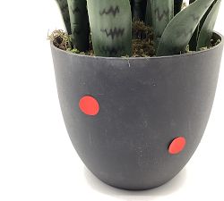 Open Box: Faux Potted Sansevieria