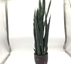 Open Box: Faux Potted Sansevieria