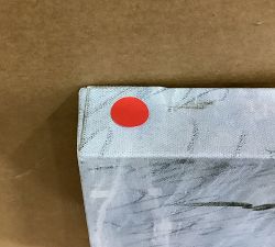 Open Box: Shell Study #3 by Lauren Herrera (26"W x 32"H)