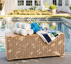 Huntington Pool Storage Trunk