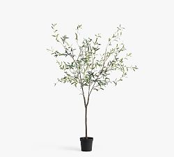 Open Box: Faux Potted Olive Tree, 7' - Green