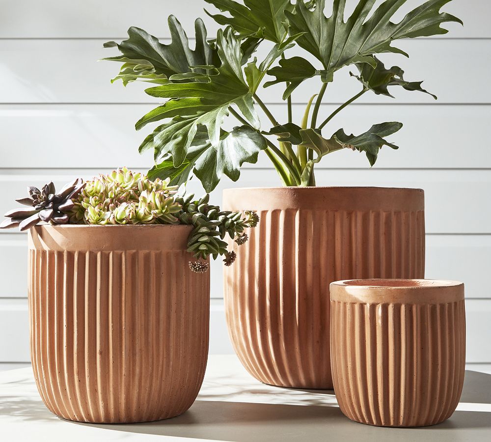 Large Terra Cotta Planter