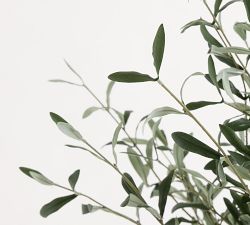 Faux Faded Olive Leaf Tree