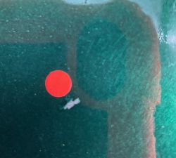 Open Box: Caterers Box Charger Plates, Set of 12 - Green