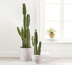 Faux Saguaro Cactus
