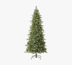 Open Box: Lit Kennedy Fir Tree With Clear LED Lights (9')