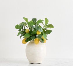 Faux Lemon Bundle