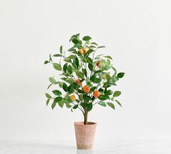 Faux Potted Orange Topiary