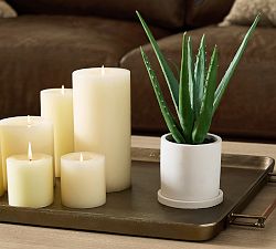 Faux Potted Double Spike Aloe Succulent