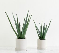 Faux Potted Double Spike Aloe Succulent