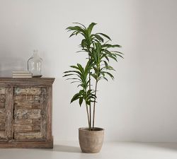 Faux Exotic Dracaena Tree