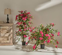 Balboa Park Faux Bougainvillea Plants