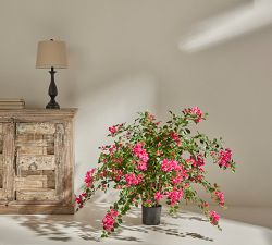 Balboa Park Faux Bougainvillea Plants