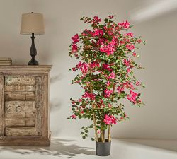 Balboa Park Faux Bougainvillea Plants