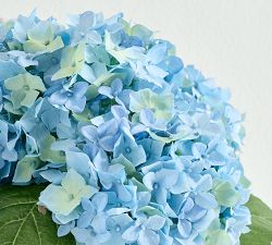Faux Composed Light Blue Hydrangea Arrangement