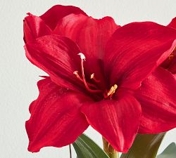 Faux Composed Amaryllis in Basket