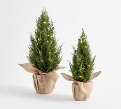 Faux Lit Topiary Pine Tree