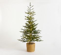 Lit Pine Tree in Basket