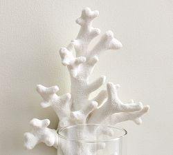 Coral Wall Candle Holder
