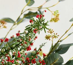 Red Cedar Berry &amp; Eucalyptus Bundle