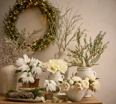 Botanicals by Season