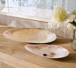 Polished Decorative Shell