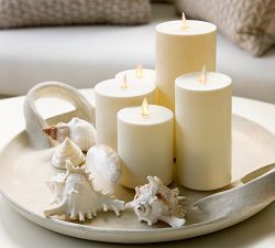 Mixed Shells Vase Filler