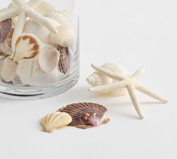 Mixed Shells Vase Filler