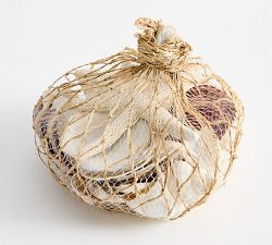 Mixed Shells Vase Filler