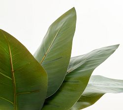 Faux Composed Banana Leaf