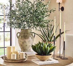 Faux Composed Spike Aloe Plant