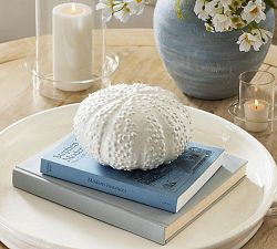 Ceramic Sea Urchin