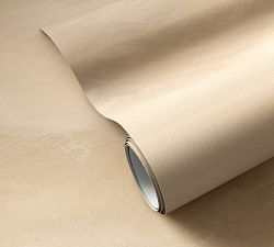 Water-Resistant Terralon Limewash Mural