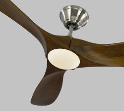 52" Rayanne Indoor/Outdoor Ceiling Fan