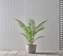 Faux Potted Tropical Palm Tree