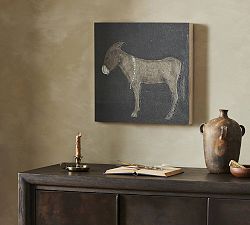 Burro Noche by Paul Meyer