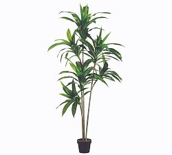 Faux Exotic Dracaena Tree