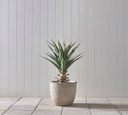 Faux Potted Agave Ameriana