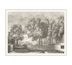 Etched Garden Framed Print