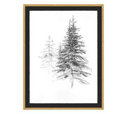 Tree Study In Fog by Lauren Herrera