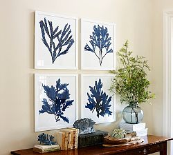 Framed Coral Prints - Indigo