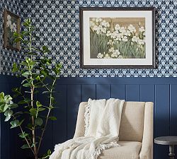 White Bearded Iris Framed Print by Carleigh Courey