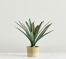 Faux Composed Agave Plant